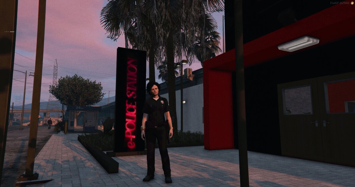 le-premier-commissariat-virtuel-sur-le-jeu-gta-rp-case-studies